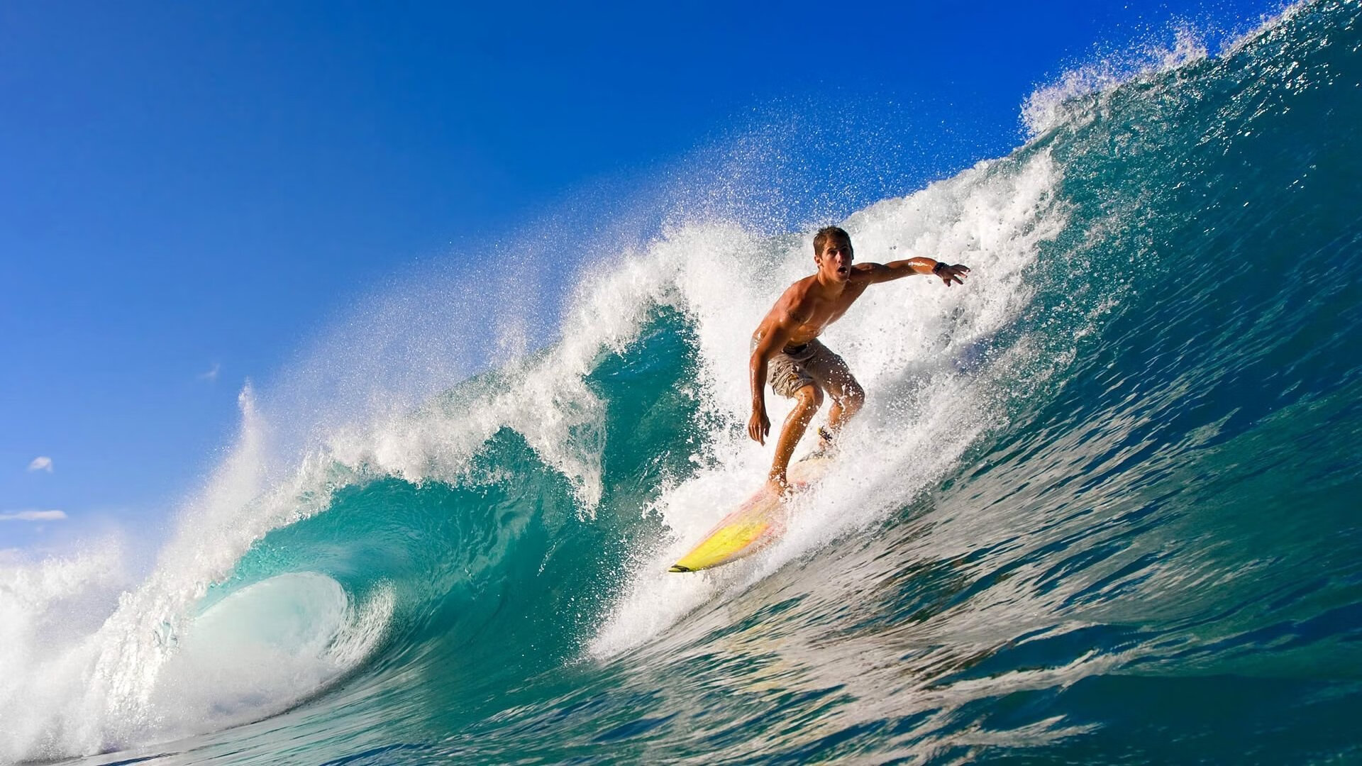 体育场馆智能化升级,观赛体验全面提升,体育场馆智能化改造